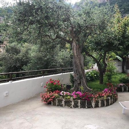 La Casa Del Bolasso Appartamento Positano Esterno foto